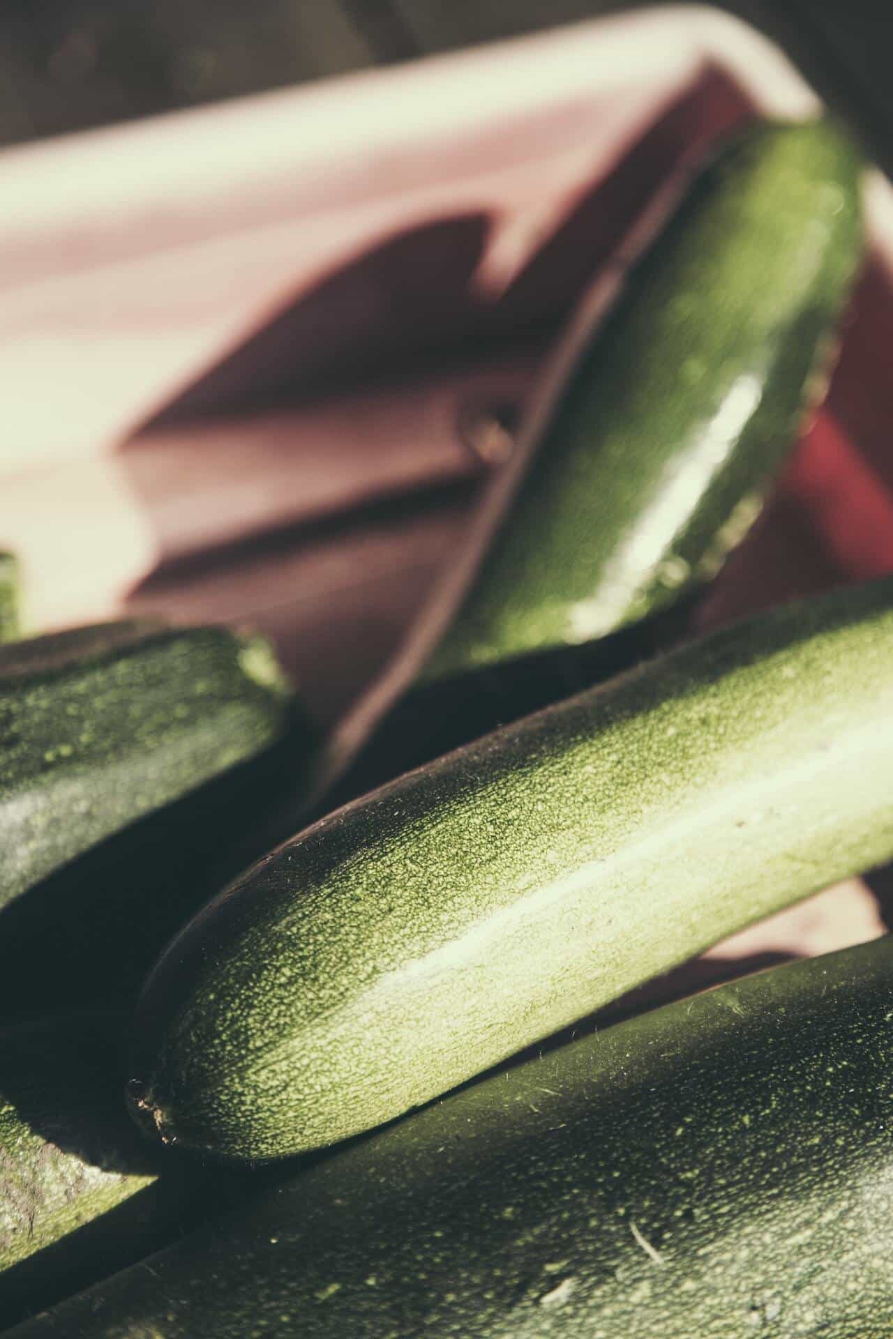 Courgettes fraîches du potager